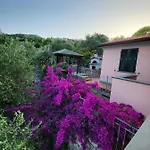 빌라 Il Pettirosso *