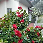 빌라 Il Pettirosso 라스페치아