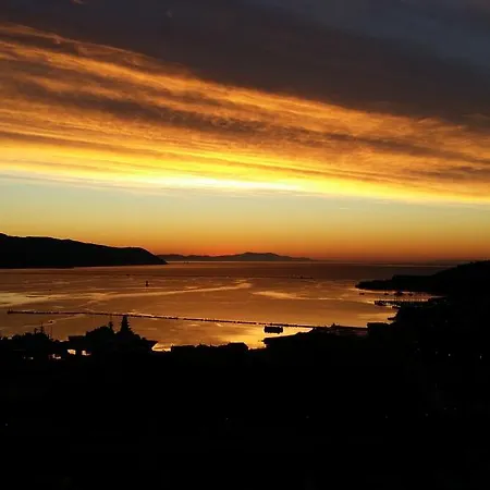 فيلة Il Pettirosso