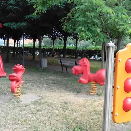 Il Pettirosso *