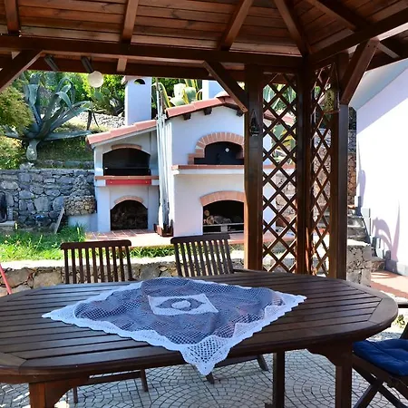 فيلة Il Pettirosso *