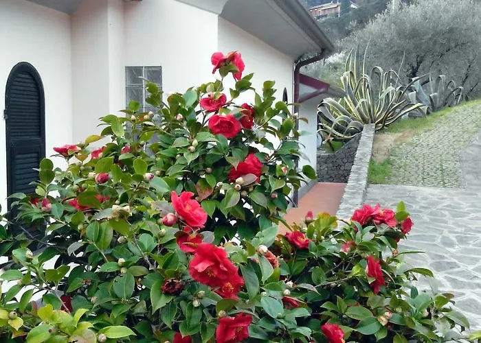 Villa Il Pettirosso La Spezia