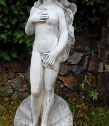 Il Pettirosso La Spezia